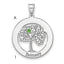 Sterling Silver/Rhodium-plated 1 Birthstone with SS Bezel Family Pendant
