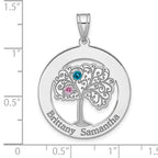 Sterling Silver/Rhodium-plated 2 Birthstone with SS Bezel Pendant
