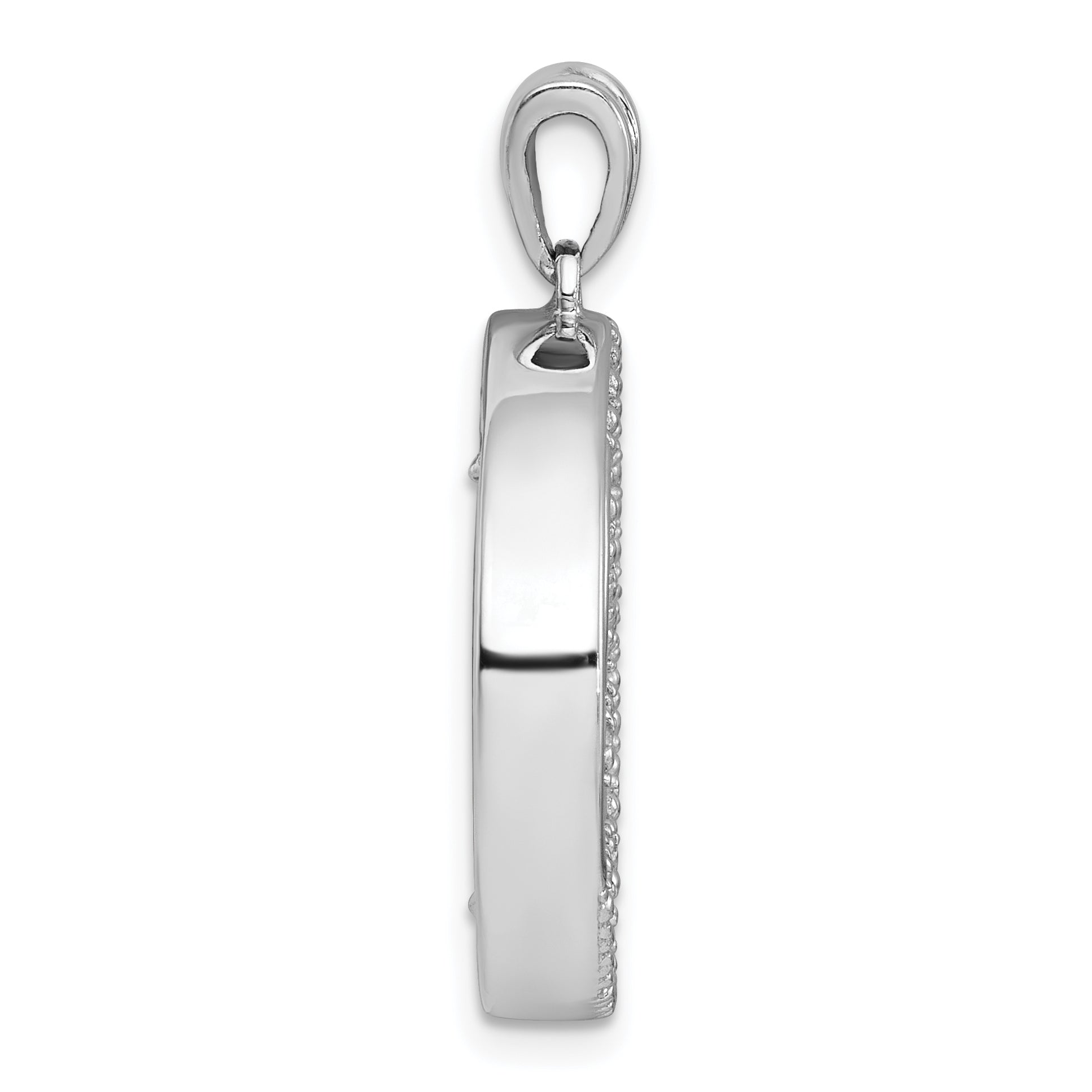 Sterling Silver Rhodium-plated Polished Onyx Circle and CZ Leaves Pendant