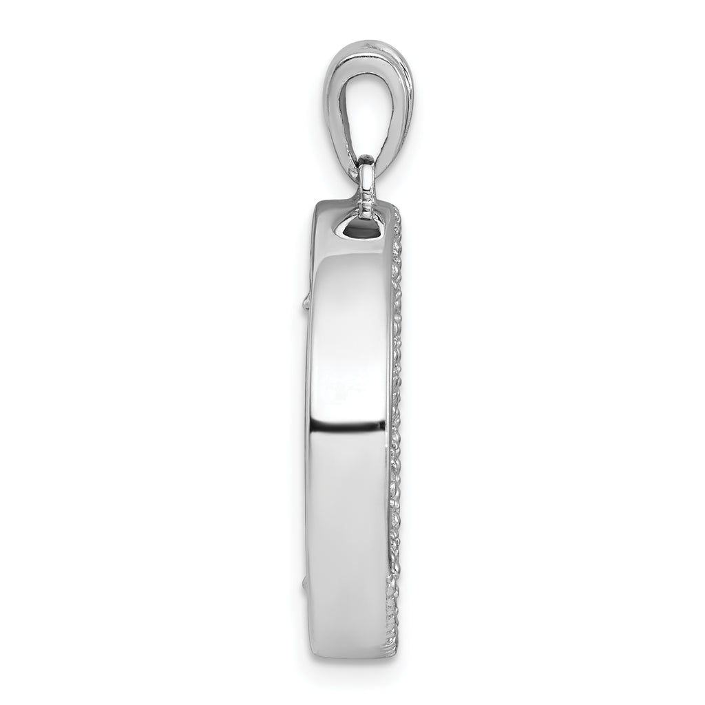 Sterling Silver Rhodium-plated Polished Onyx Circle and CZ Leaves Pendant
