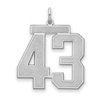 Sterling Silver/Rhodium-plated Satin Number 43 Charm