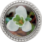 Sterling Silver Reflections Rhodium-plated January Flower Bead