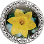 Sterling Silver Reflections Rhodium-plated March Flower Bead