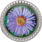 Sterling Silver Reflections Rhodium-plated September Flower Bead