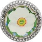 Sterling Silver Reflections Rhodium-plated December Flower Bead