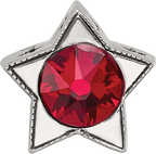 Sterling Silver Reflections Preciosa Crystal Jan. Birthstone Star Bead