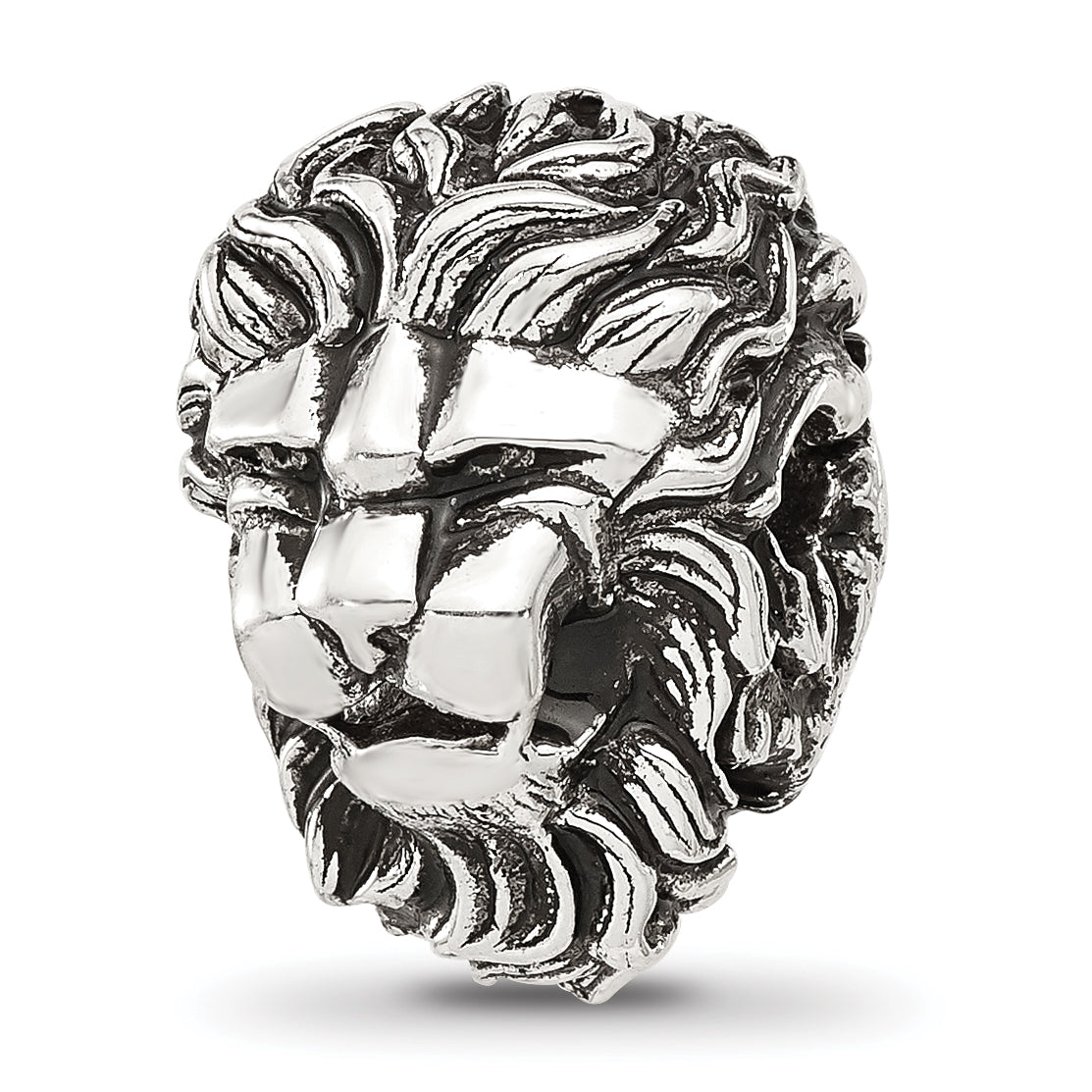 Sterling Silver Reflections Antiqued Lion Hinged Bead Main image