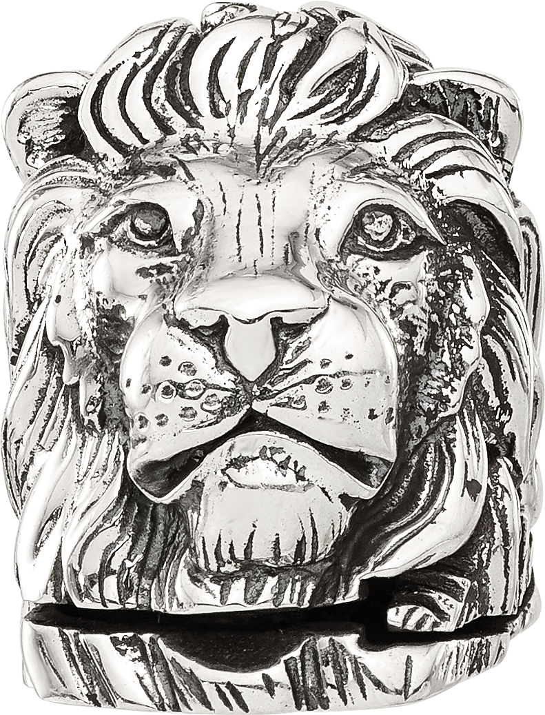 Sterling Silver Reflections Lion Hinged Bead