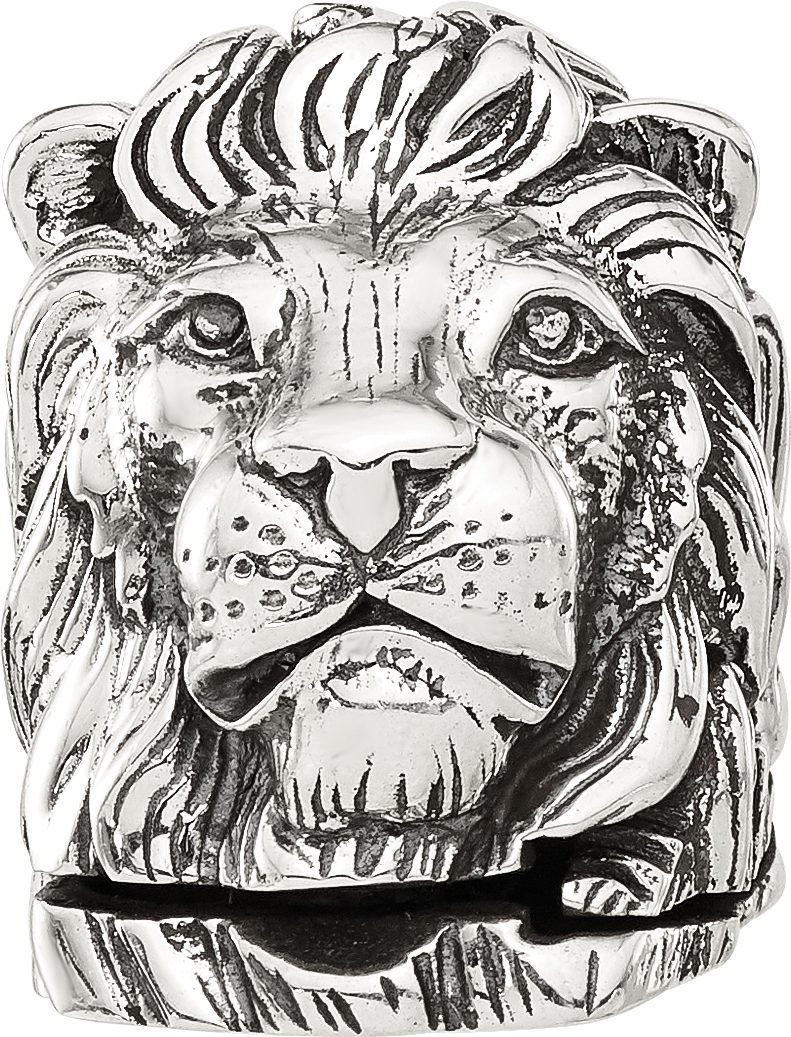 Reflection Beads Sterling Silver Lion Hinged Bead - Sophia Jewelers