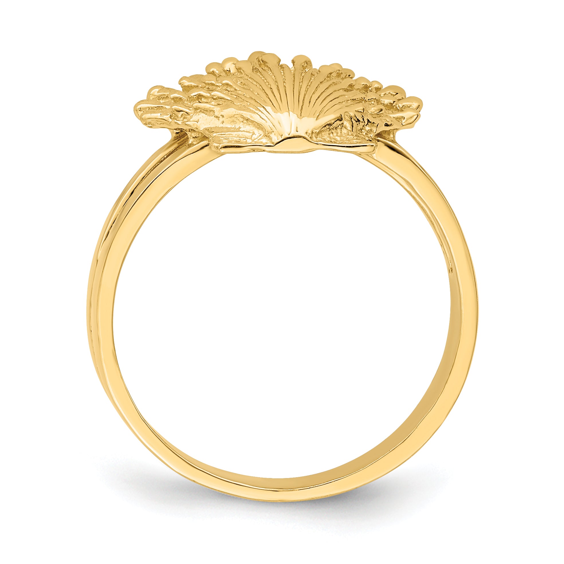 14K Lion's Paw Shell Ring Secondary image