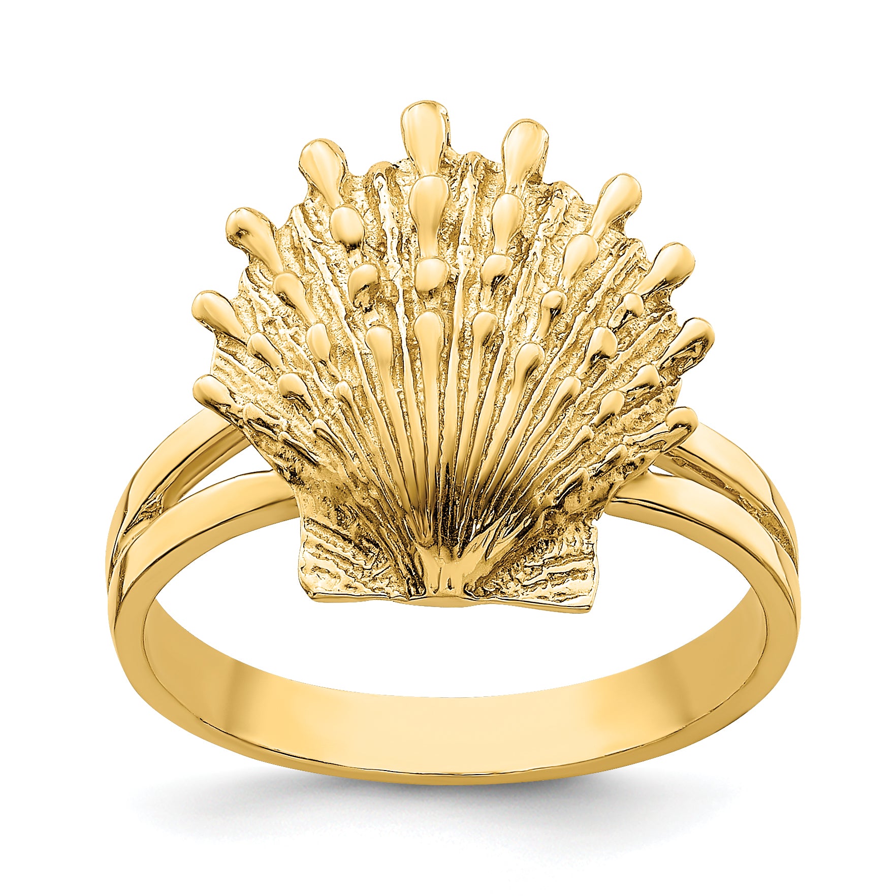 14K Lion's Paw Shell Ring Main image