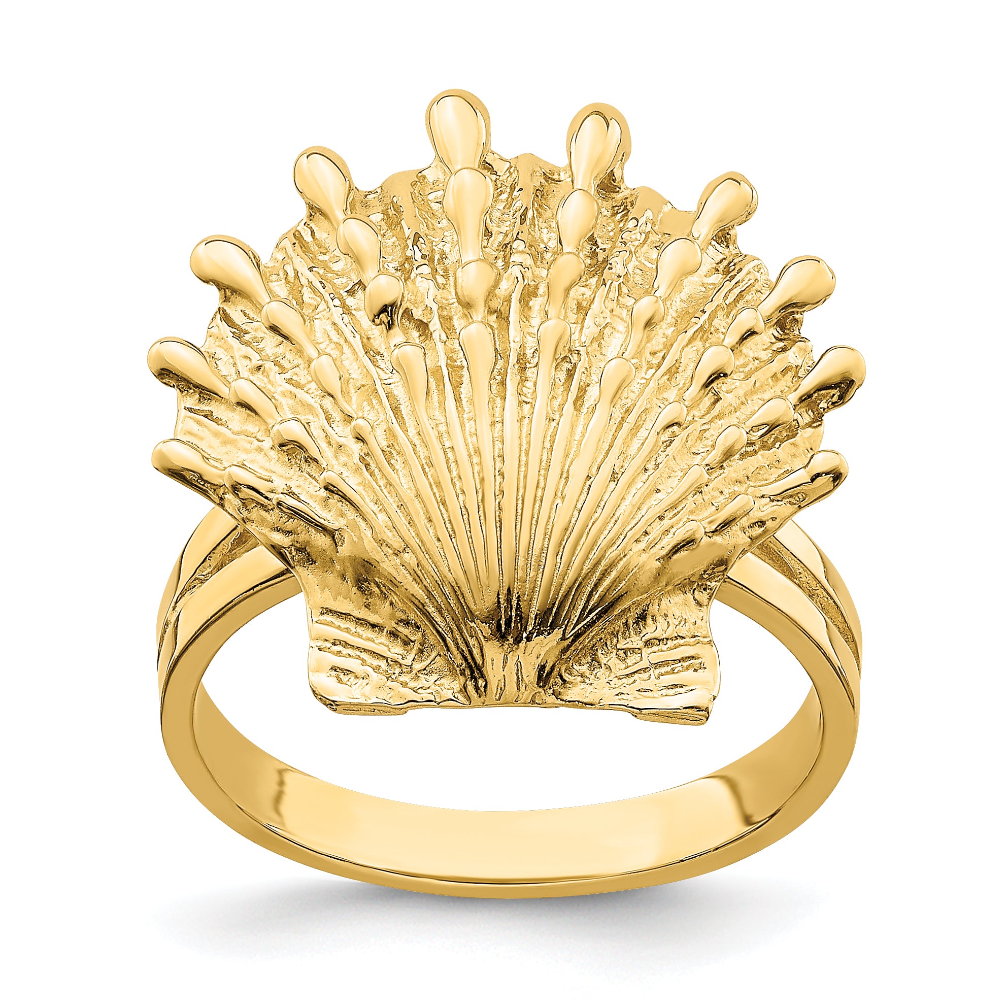 14K Lion's Paw Shell Ring Main image