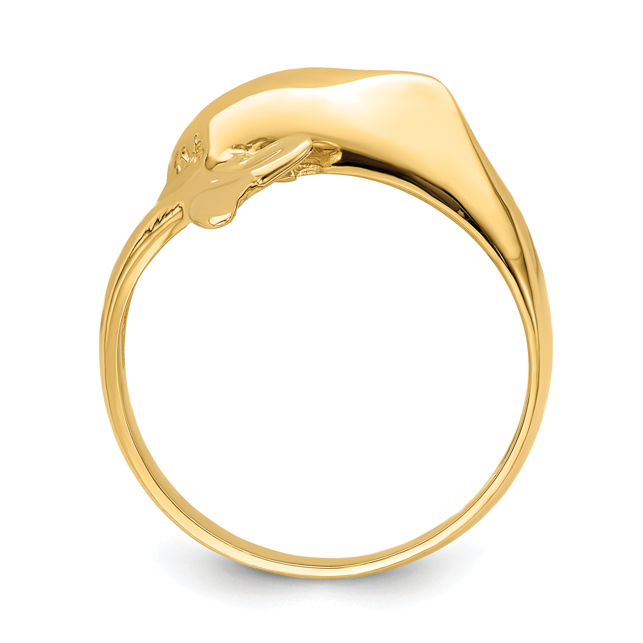 14k Polished Dolphin Ring Secondary image