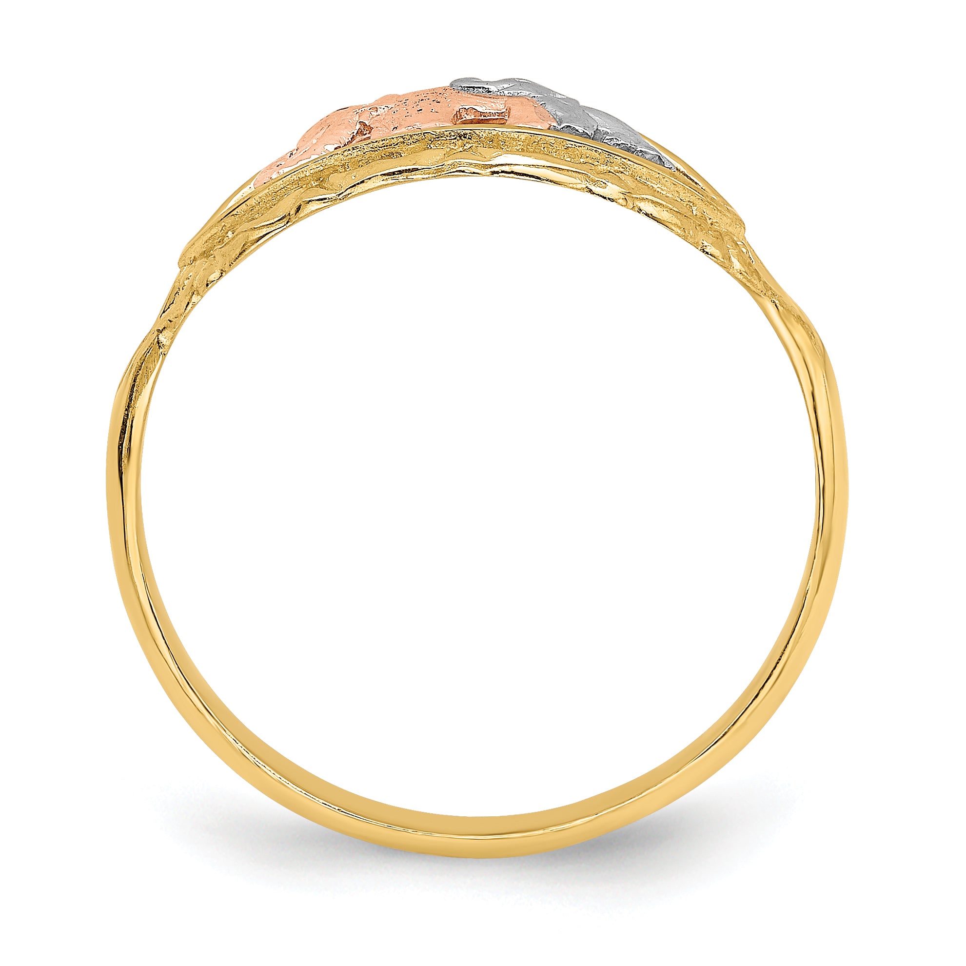 14k Two-tone w/White Rhodium Two Elephants Ring Secondary image