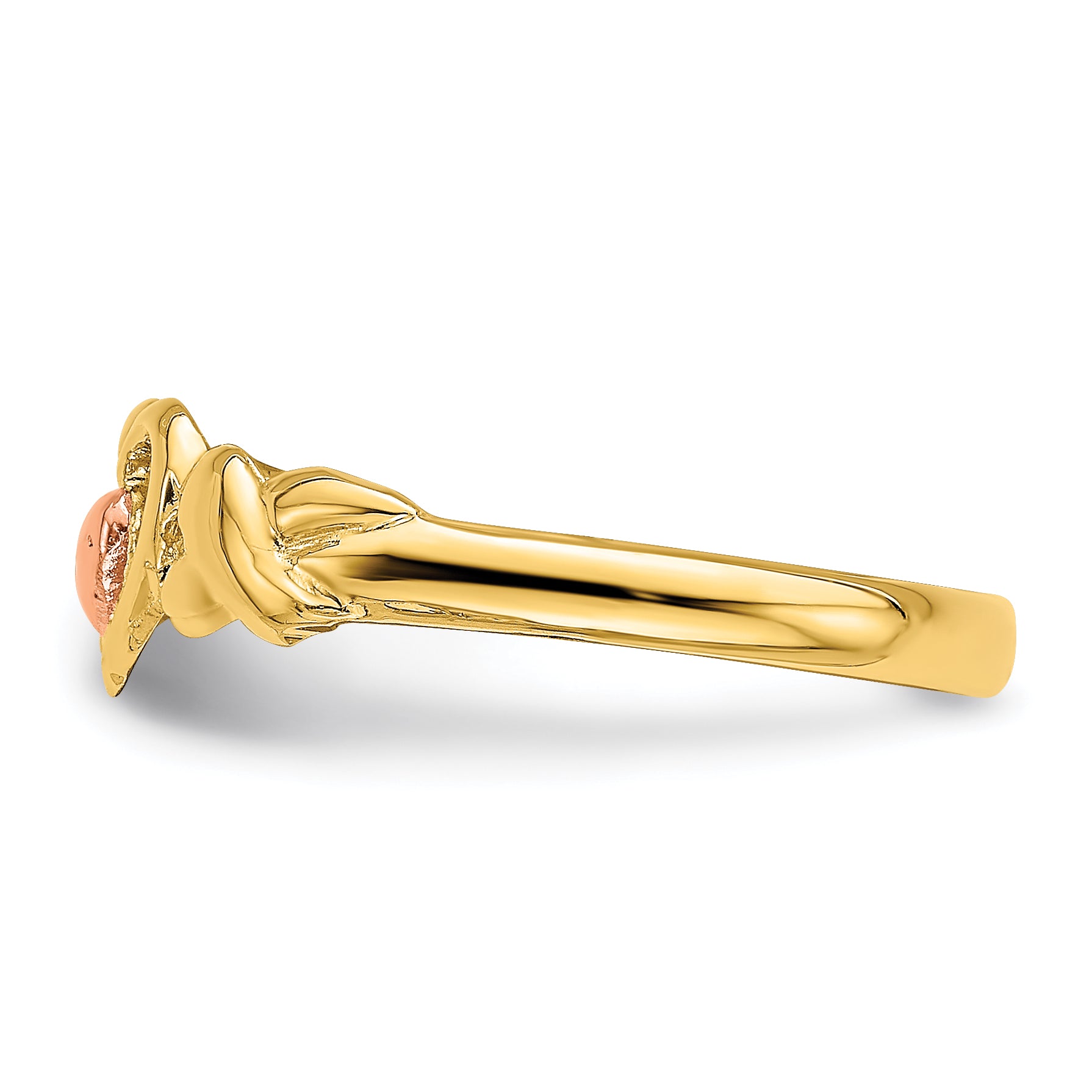 14k Two-Tone Polished Hearts Ring