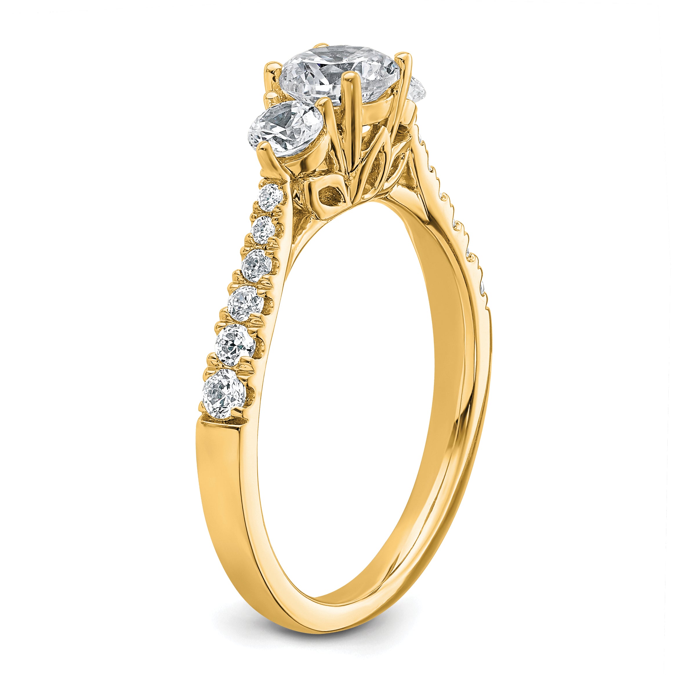 14k 1 carat Lab Grown Diamond VS+ F+ Round Complete Three Stone Engagement Ring