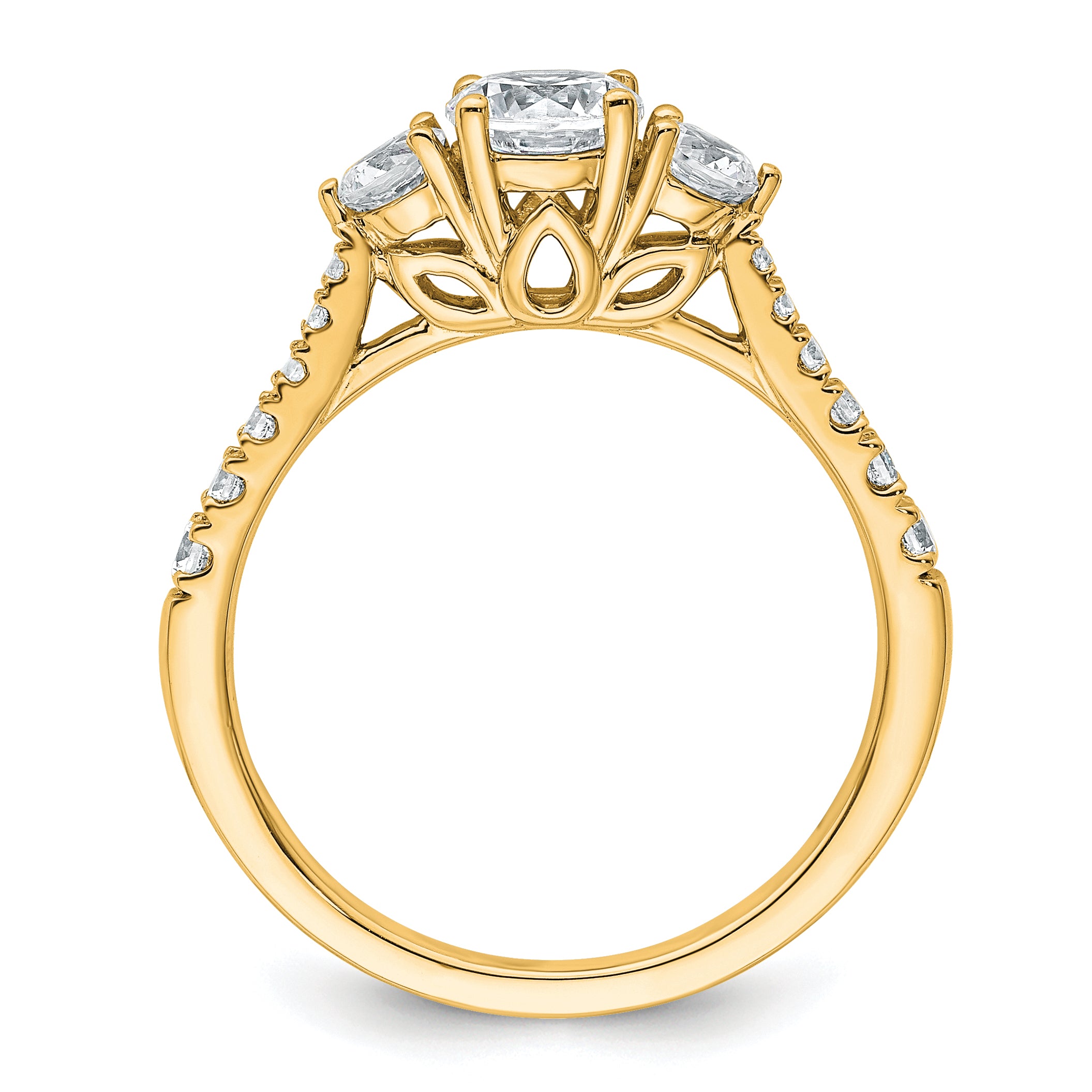 14k 1 carat Certified Lab Grown Diamond VS+ F+ Round Complete Three Stone Engagement Ring