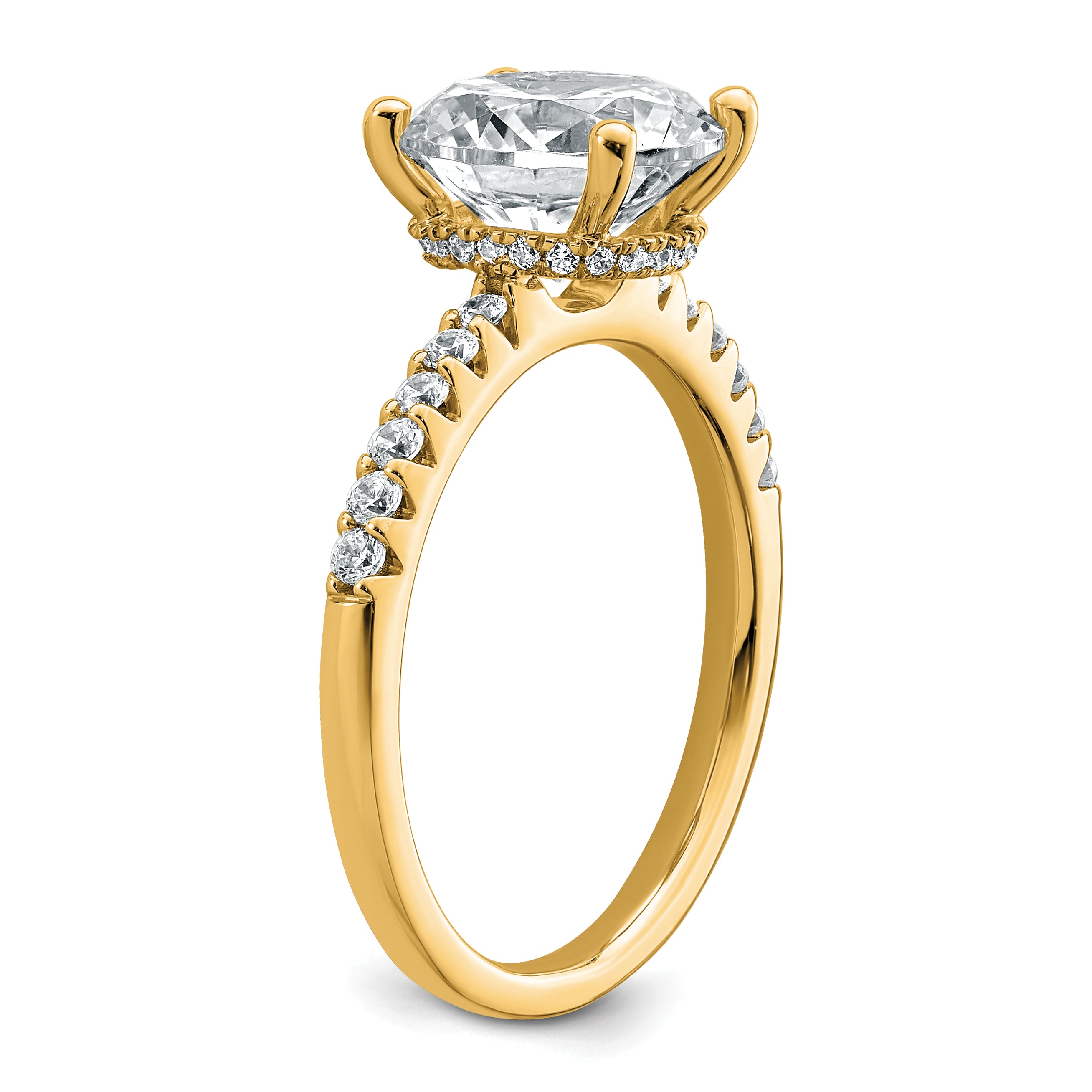 14k 2 3/4 carat Lab Grown Diamond VS+ F+ Round Complete Engagement Ring