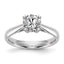 Lab-Grown Diamond Solitaire Engagement Ring in 14K White Gold, 2mm (1/4 ct.), Size 7 - Sophia Jewelers