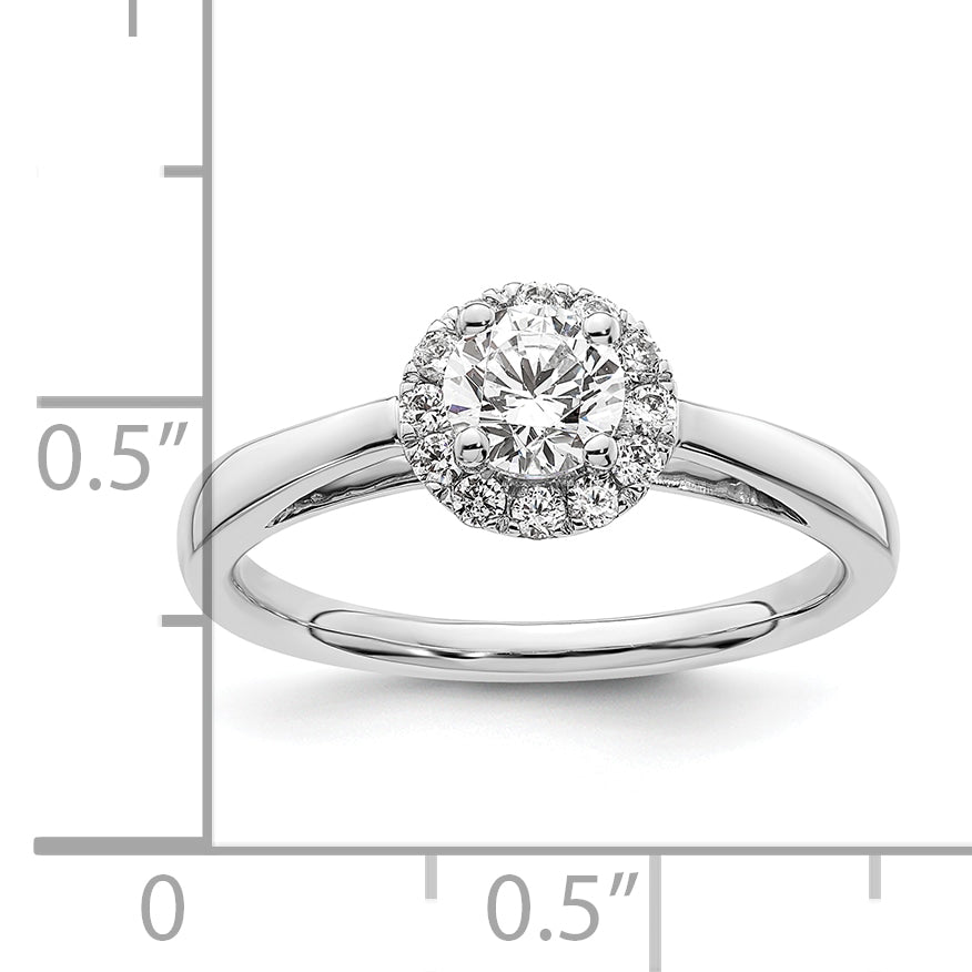 14k White Gold 1/2 carat Lab Grown Diamond VS/SI+ G+ Round Complete Halo Engagement Ring