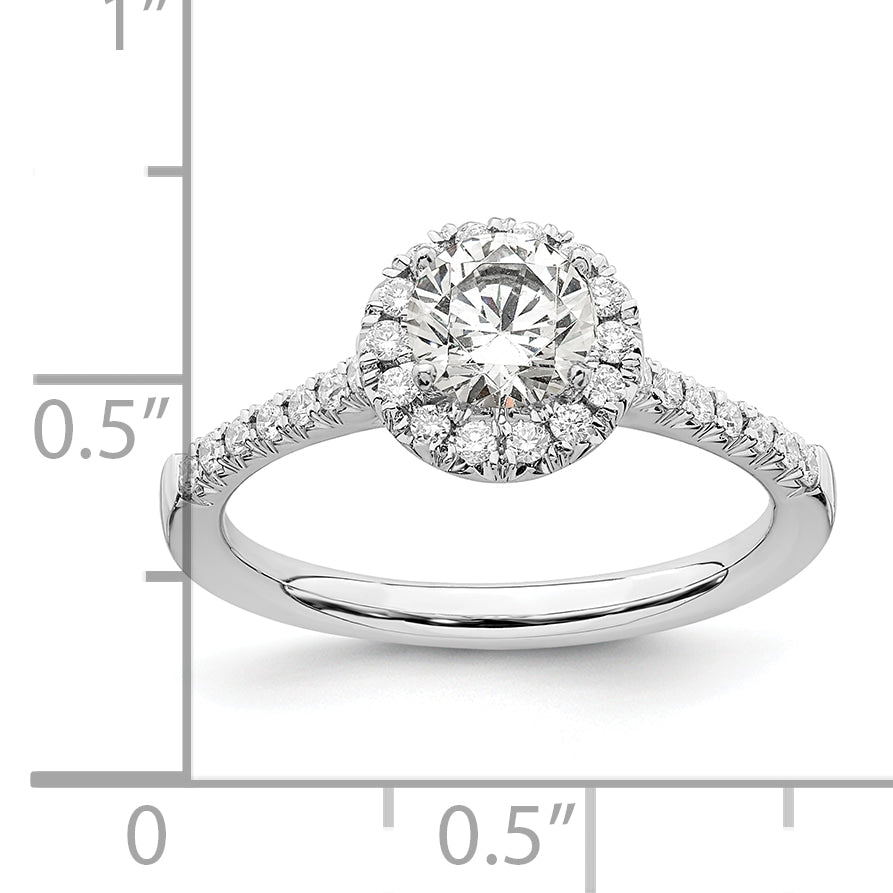 14k White Gold 3/4 carat Lab Grown Diamond VS/SI+ G+ Round Complete Size 9 Halo Engagement Ring