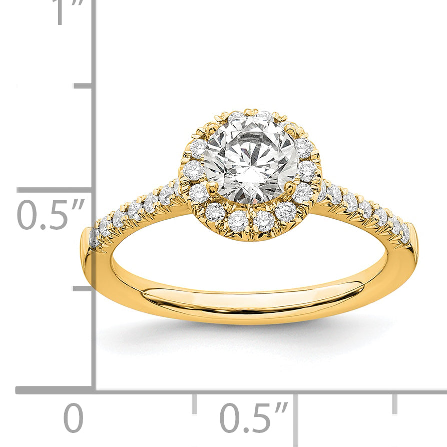14k 3/4 carat Lab Grown Diamond VS/SI+ G+ Round Complete Size 9 Halo Engagement Ring