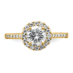 14k 1/3 carat Lab Grown Diamond VS/SI+ G+ 1 carat Center Round Semi Mount Engagement Ring