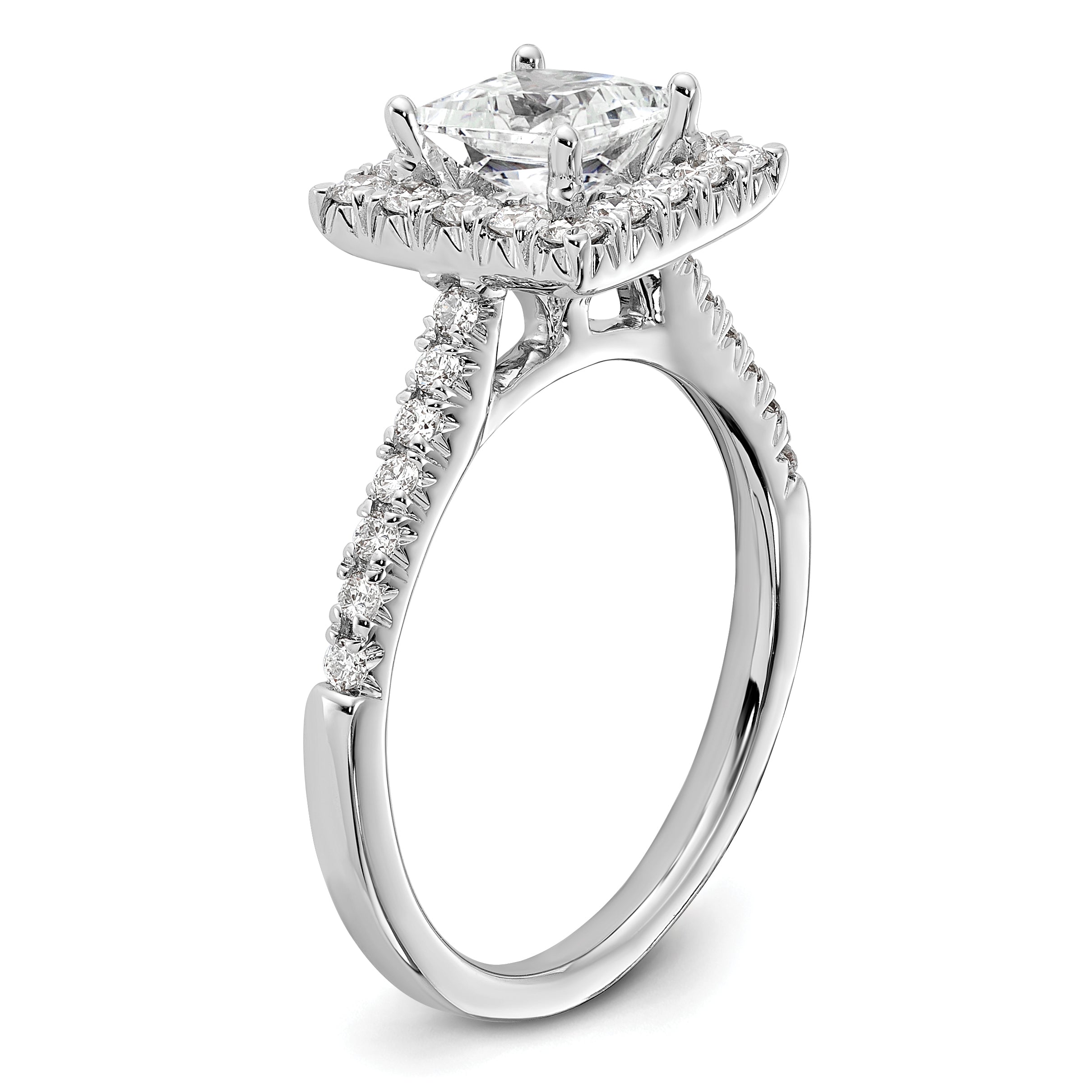 14k White Gold 1/2 carat Lab Grown Diamond VS/SI+ G+ 1 carat Center Princess Semi Mount Halo Engagement Ring