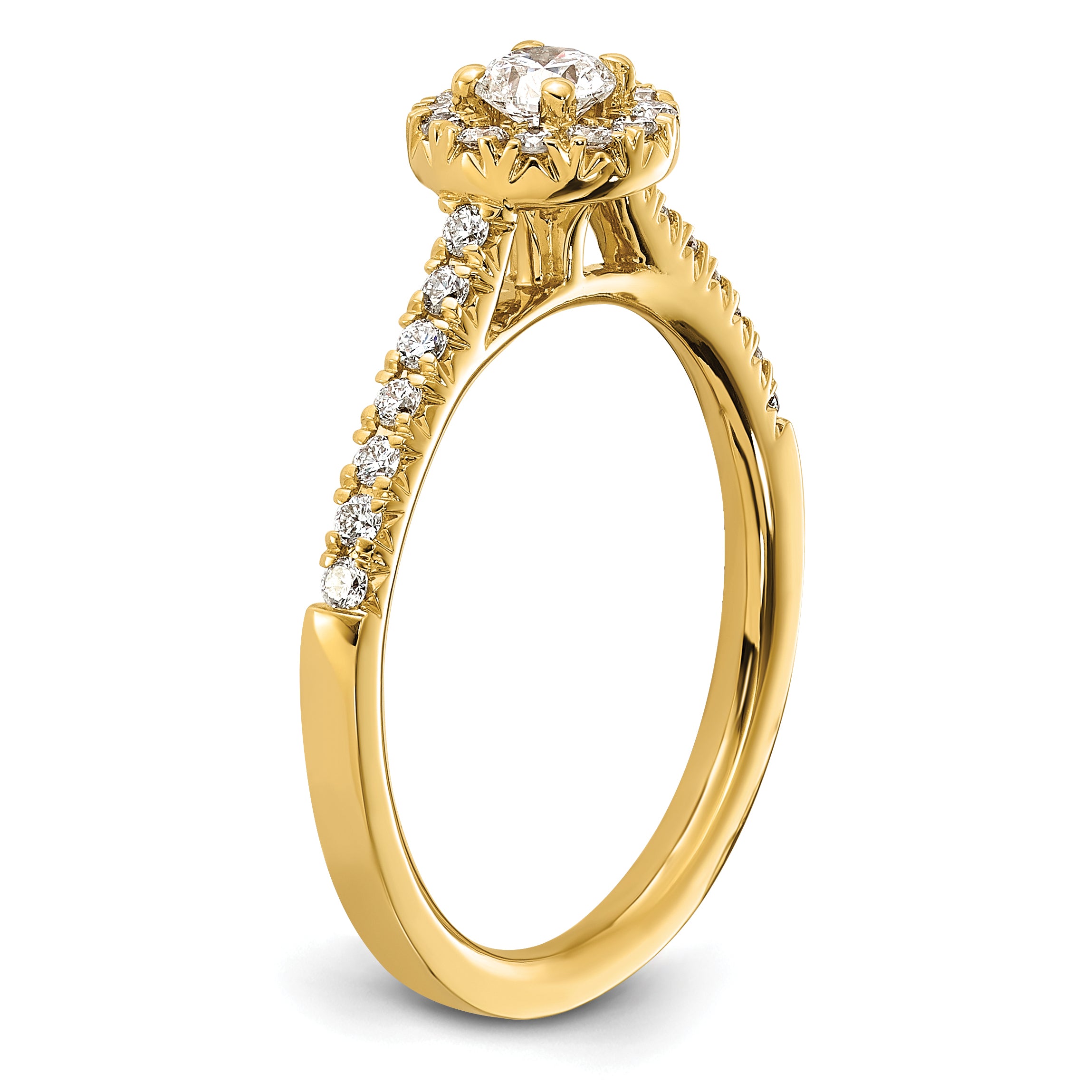 14k 1/2 carat Lab Grown Diamond VS/SI+ G+ Round Complete Halo Engagement Ring