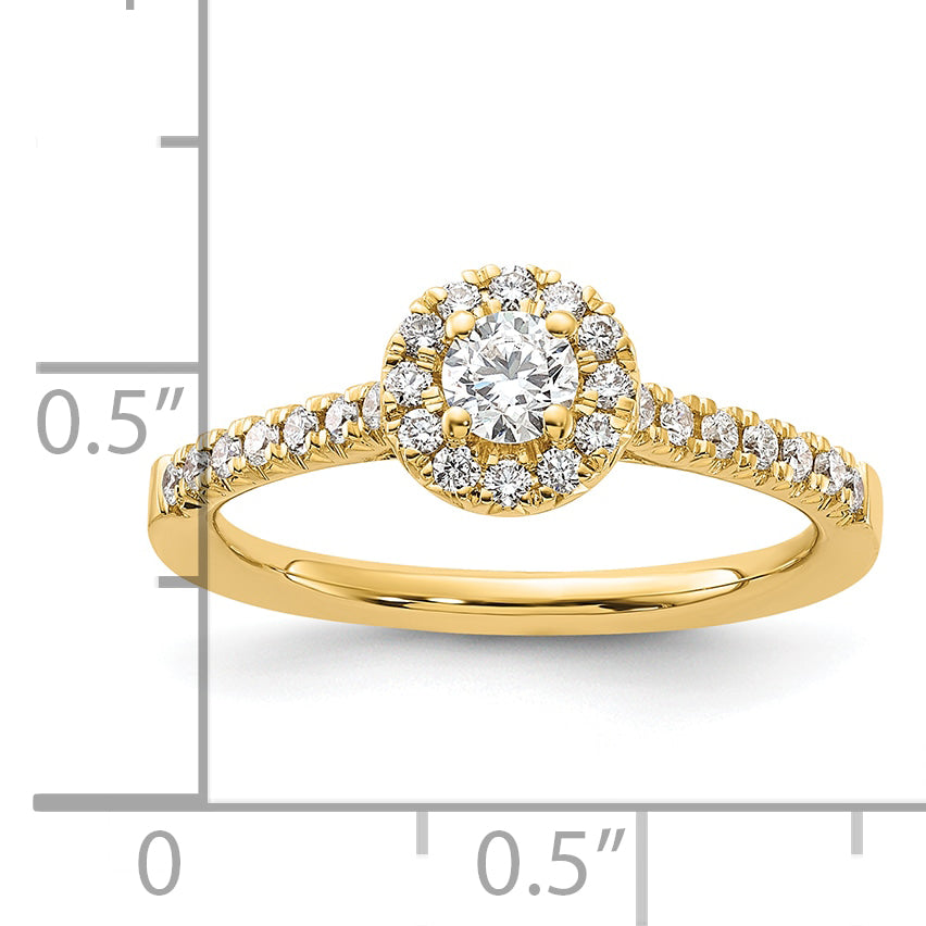 14k 1/2 carat Lab Grown Diamond VS/SI+ G+ Round Complete Halo Engagement Ring