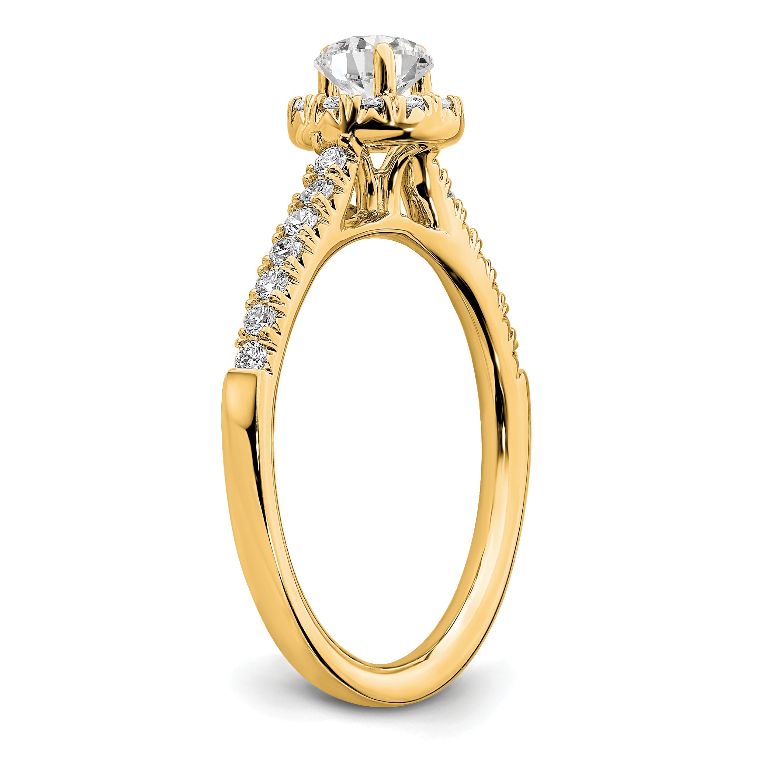 14k 3/4 carat Lab Grown Diamond VS/SI+ G+ Round Complete Halo Engagement Ring