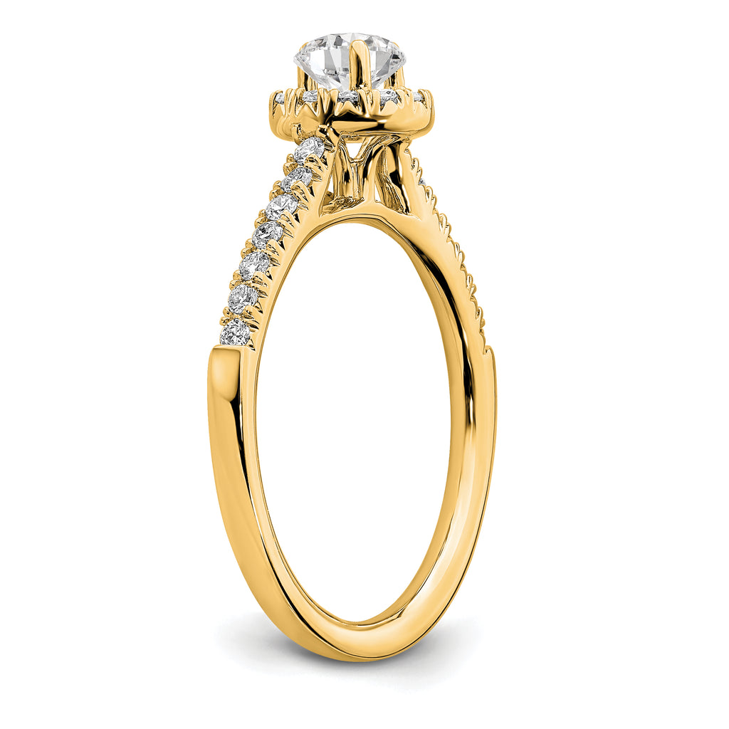 14k 3/4 carat Lab Grown Diamond VS/SI+ G+ Round Complete Halo Engagement Ring