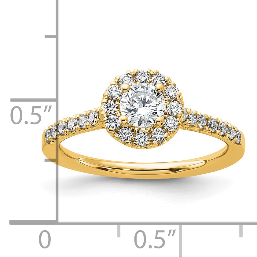 14k 3/4 carat Lab Grown Diamond VS/SI+ G+ Round Complete Halo Engagement Ring