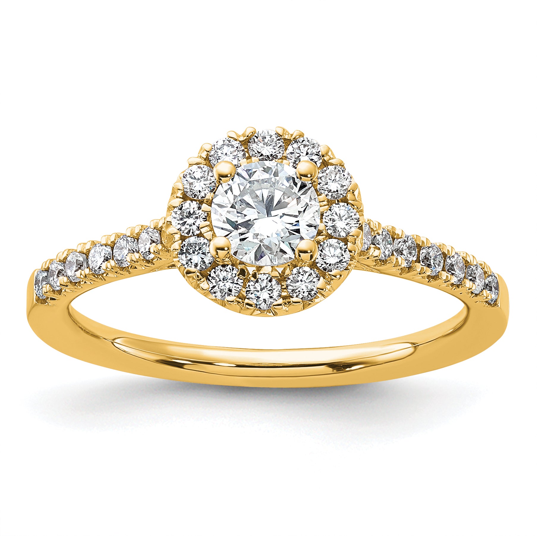 14k 3/4 carat Lab Grown Diamond VS/SI+ G+ Round Complete Halo Engagement Ring Main image