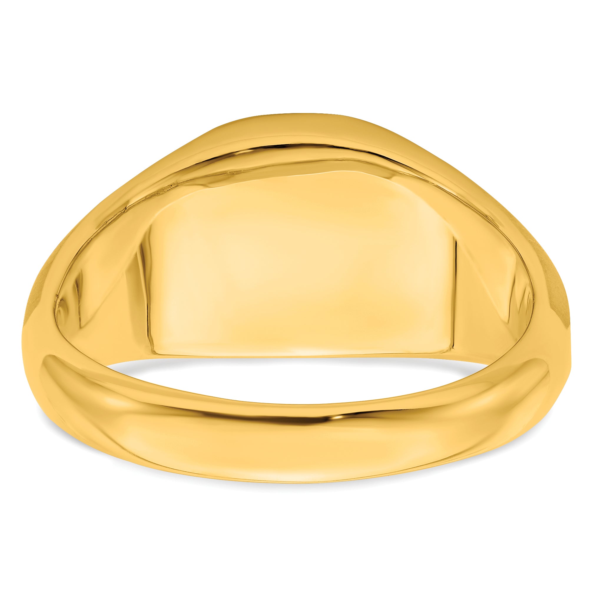 14k Onyx and Diamond Mens Ring