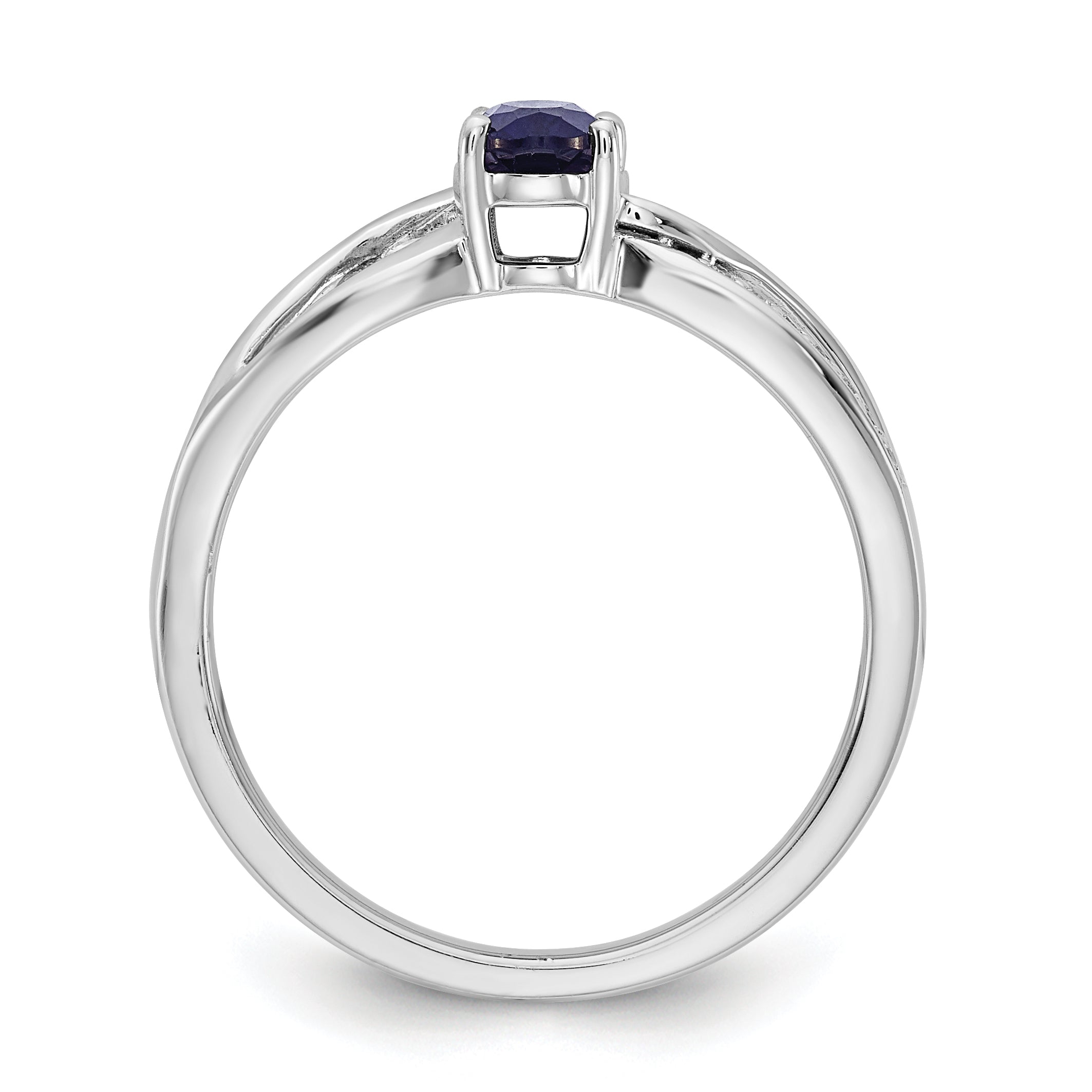14k White Gold Polished Sapphire and Diamond Ring Secondary image