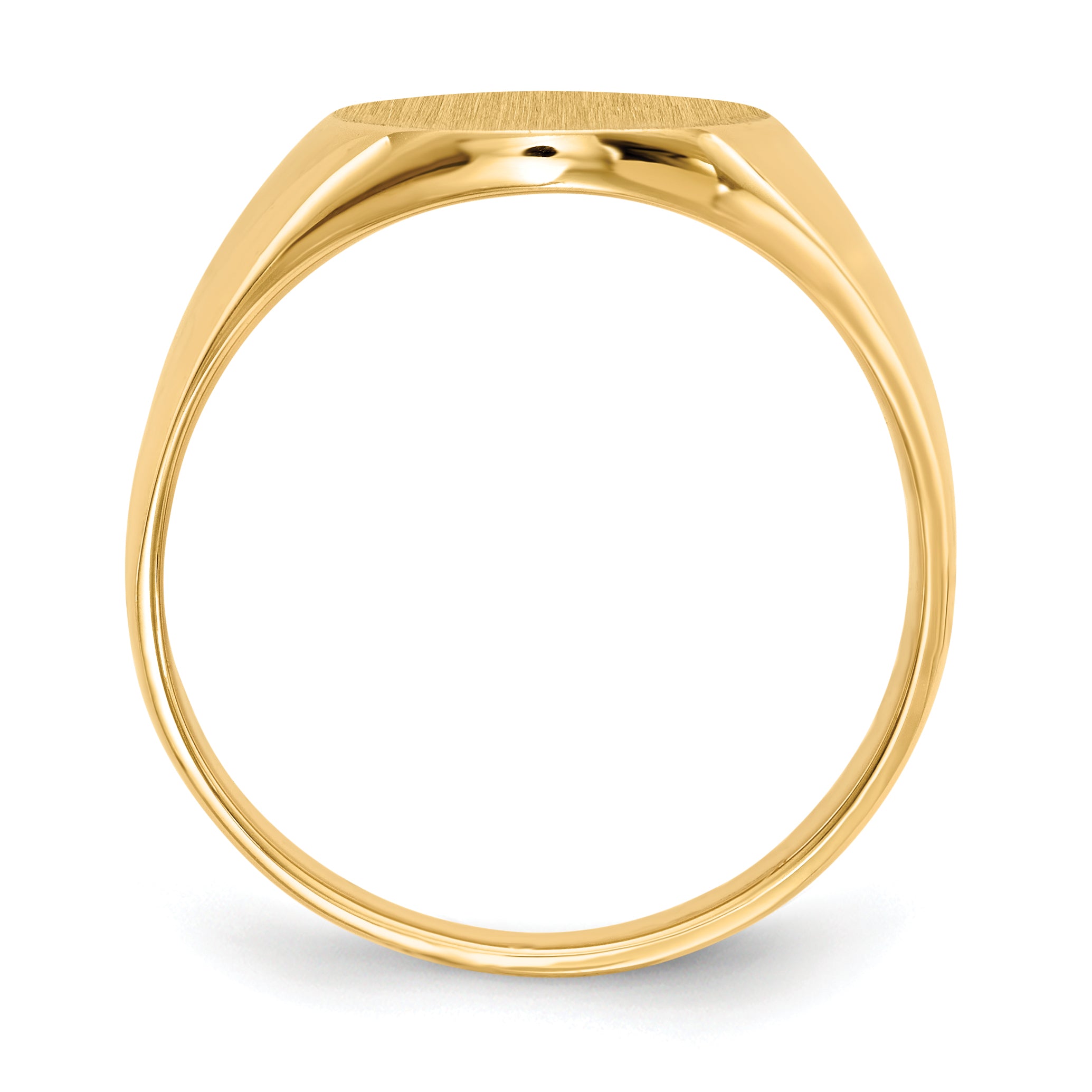 14k 12.0x14.5mm Closed Back Mens Signet Ring Secondary image