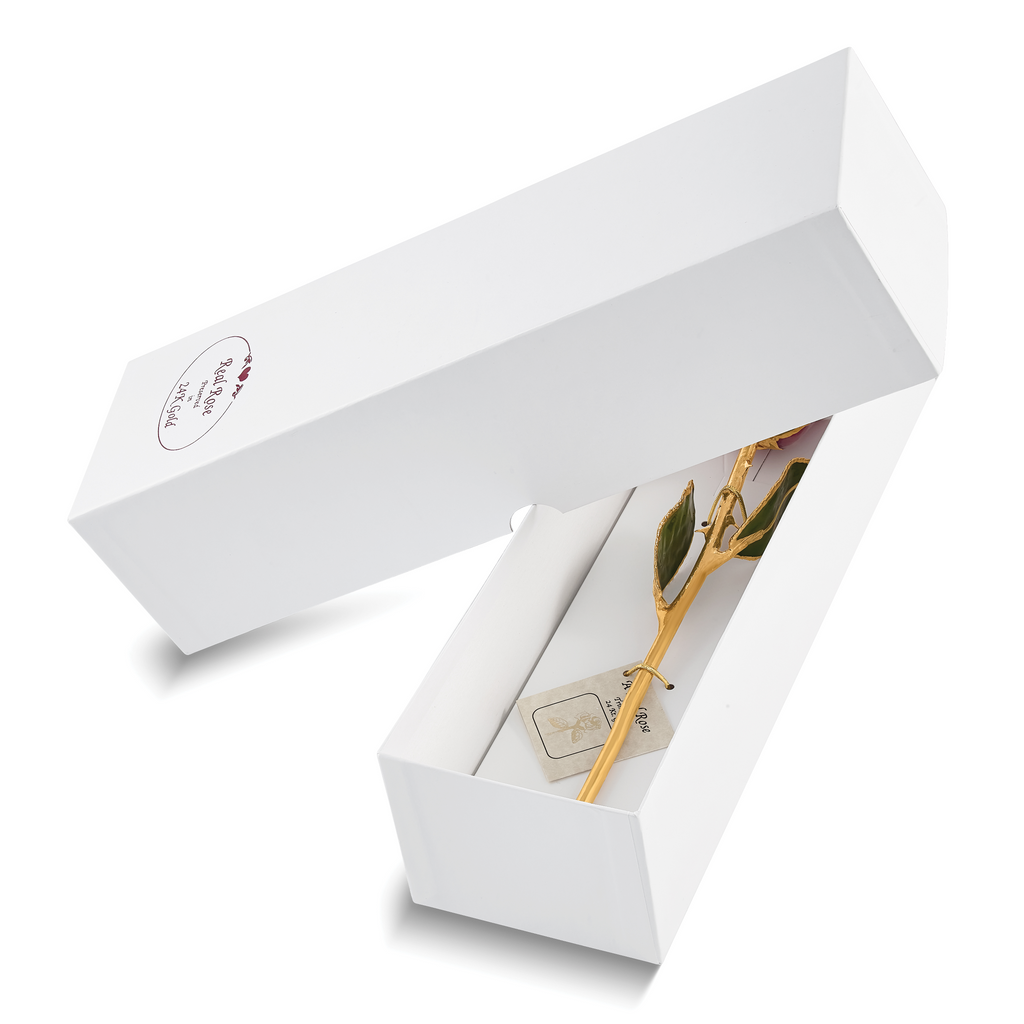 White Lacquer Dipped Gold Trimmed with Glitter Real Rose