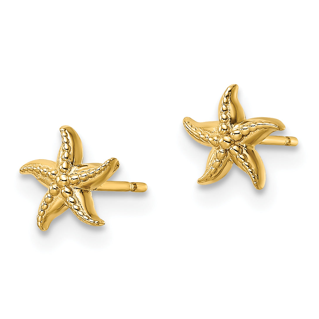 14k Madi K Starfish Post Earrings Secondary image