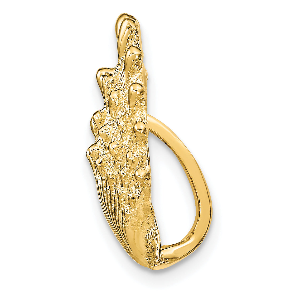 14k Lion's Paw Shell Slide Secondary image