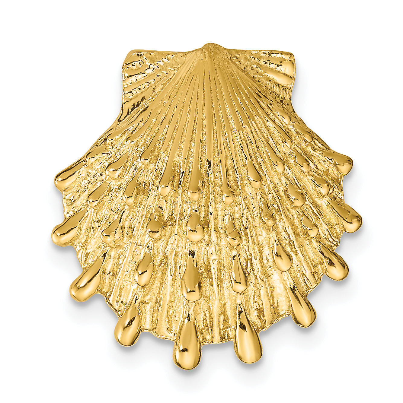 14k Lion's Paw Shell Slide Main image
