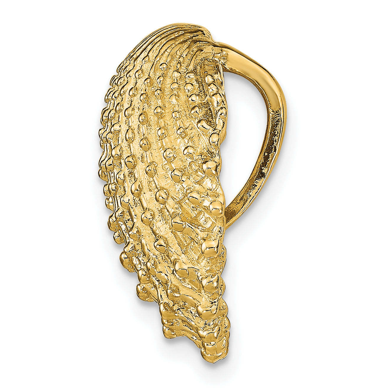 14k Scallop Shell Slide Secondary image