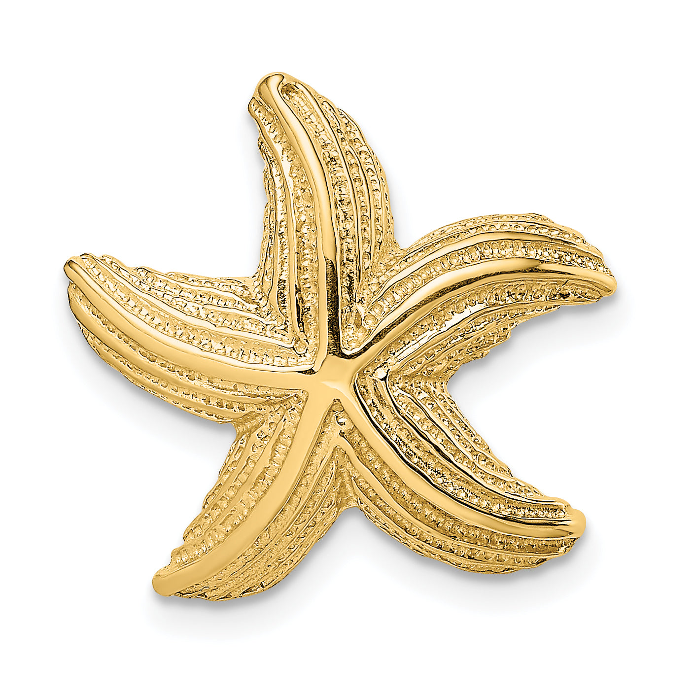 14K Polished and Textured Starfish Slide Main image