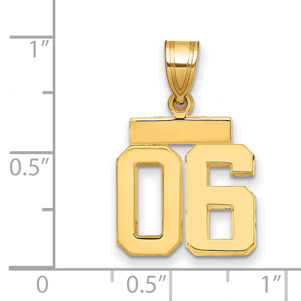 10k Small Polished Number 06 Charm