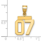 10k Small Polished Number 07 Charm