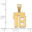 10k Small Polished Number 18 Charm