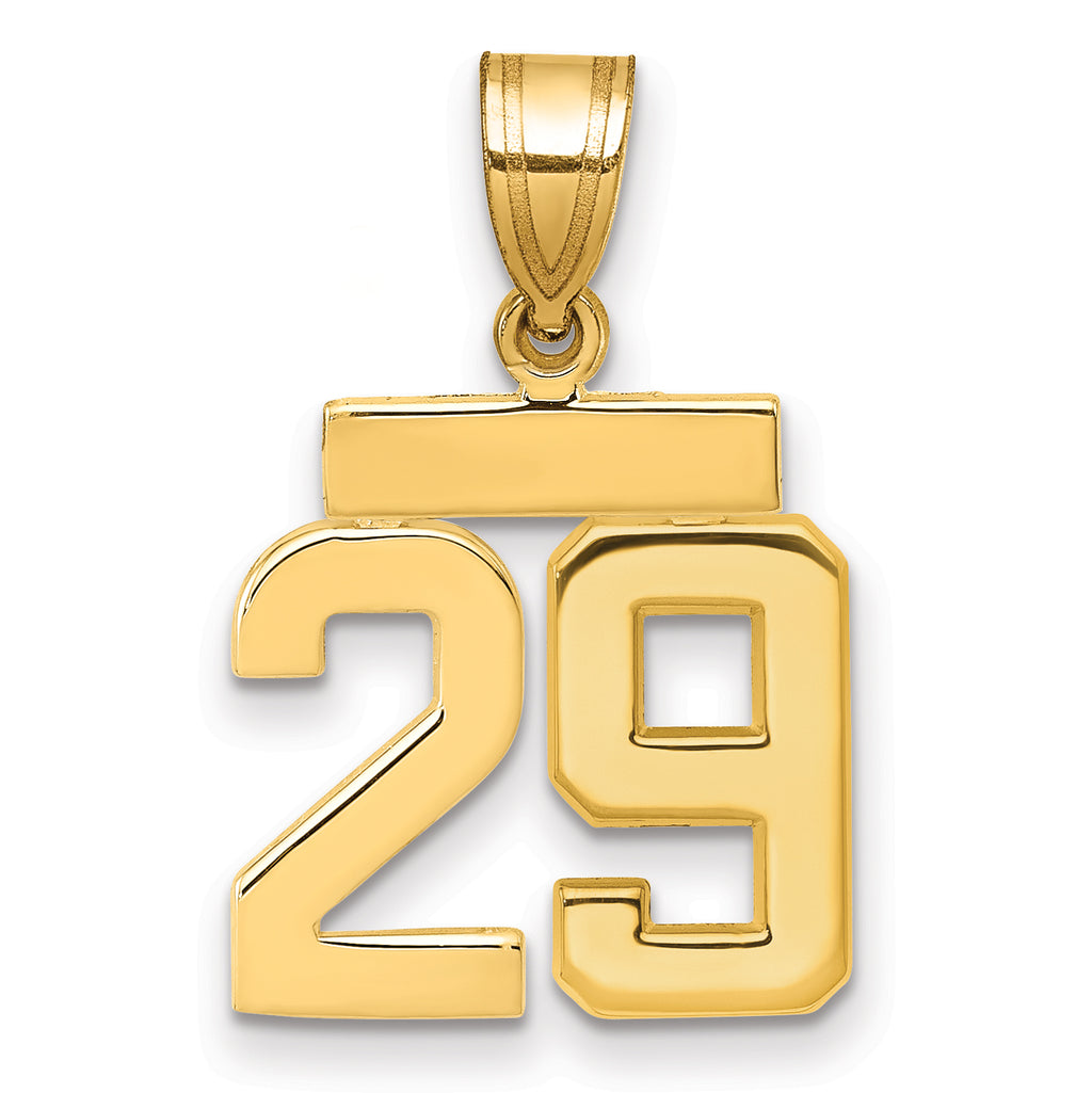 14k Small Polished Number 29 Charm