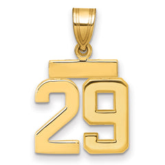 14k Small Polished Number 29 Charm