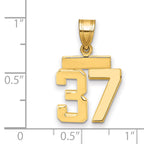 10k Small Polished Number 37 Charm
