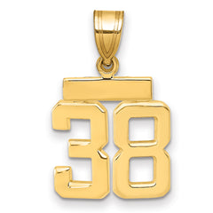 14k Small Polished Number 38 Charm